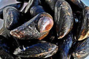 Soupe de moules