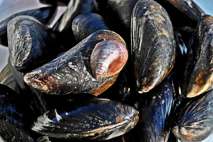 Recette de la soupe de moule du Tandem