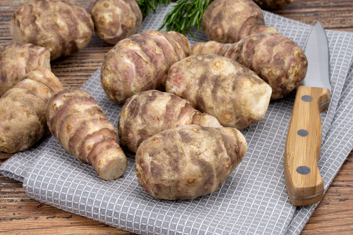 Topinambours pour une recette