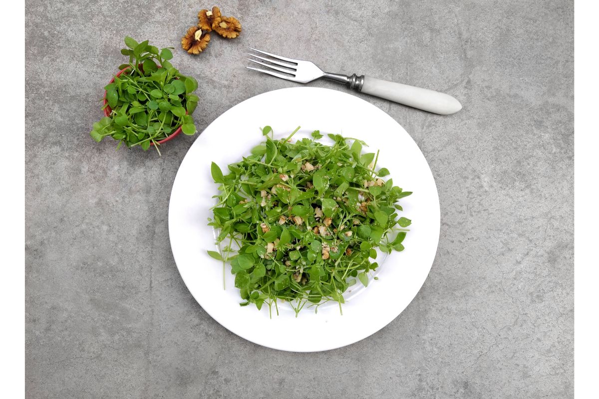 Salade de micro-pousses noix et feta