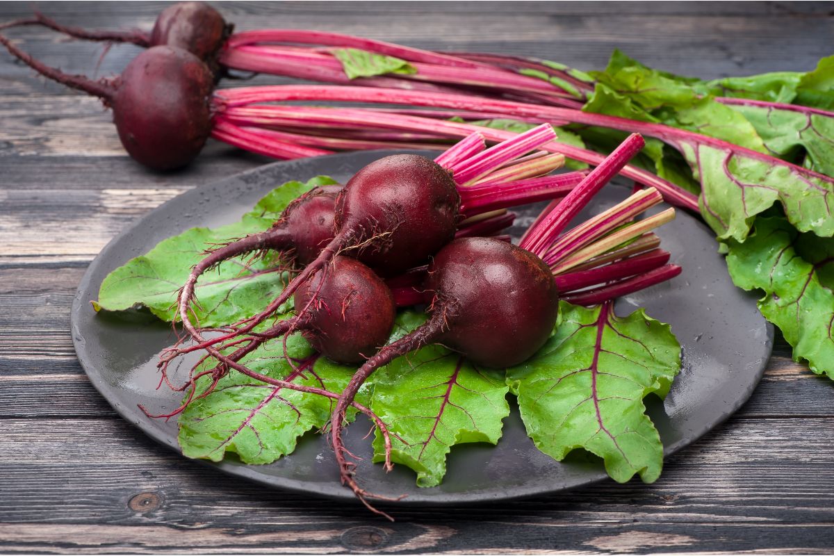 Salade de betterave des jardins du Tandem