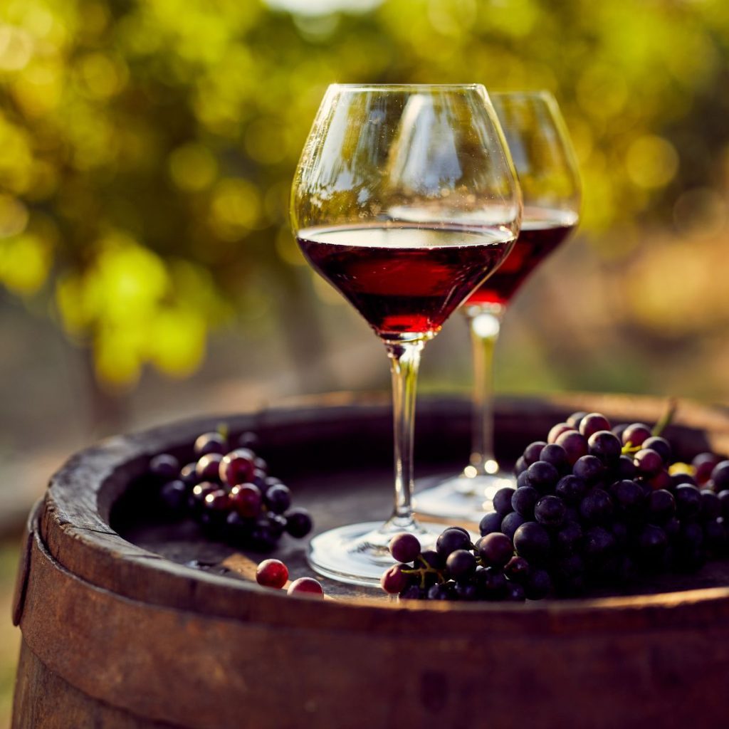 vignobles au Québec à Varennes