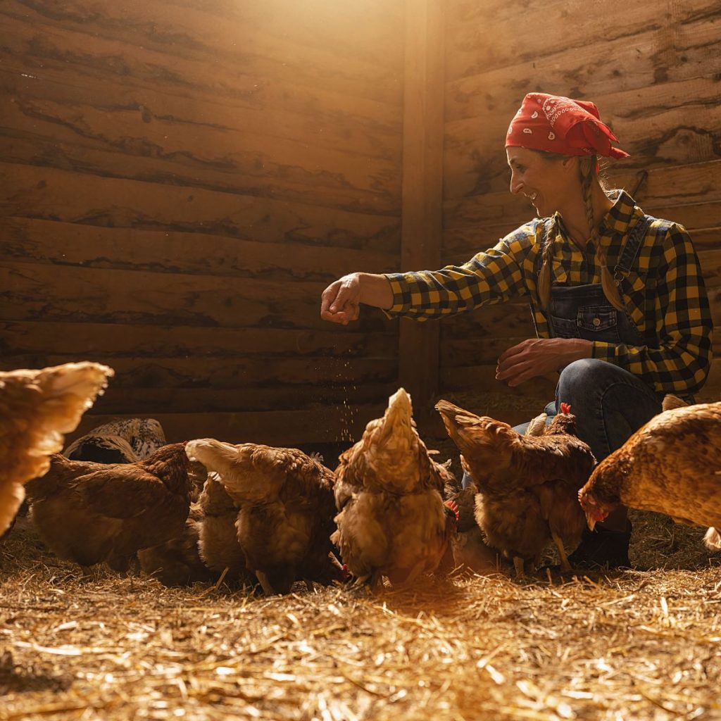 Comment peut-on définir l'agrotourisme