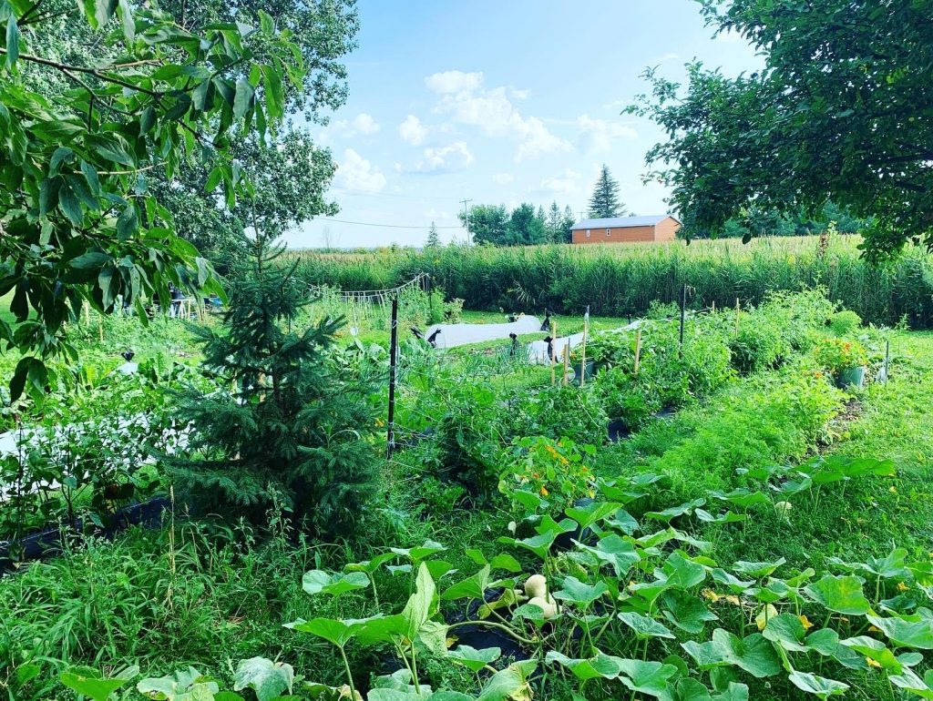 Les jardins du restaurant Tandem