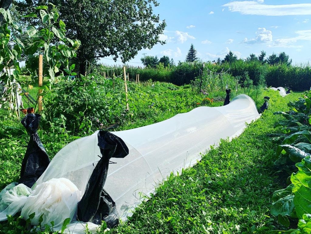 Les jardins du restaurant Tandem à Verchères en Montérégie