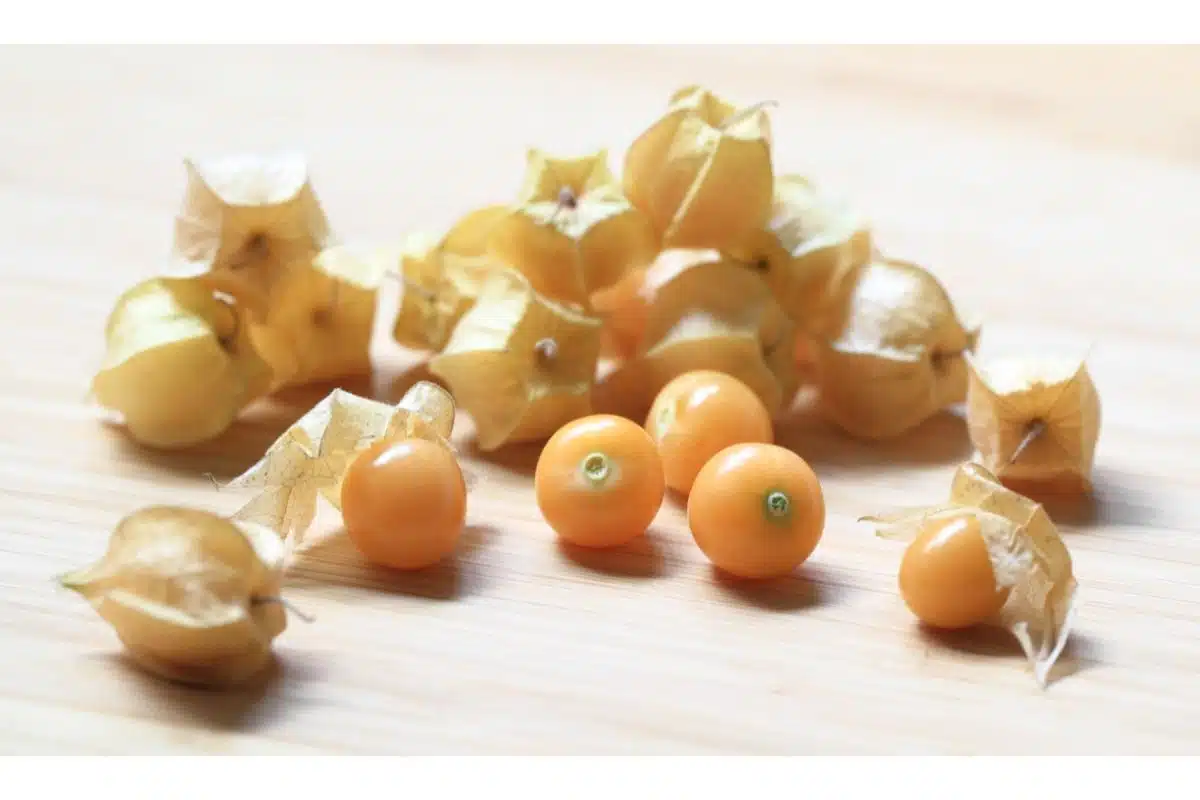 Confiture de cerises de terre