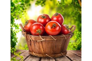 Tomates qui sont la base d'un ketchup aux fruits